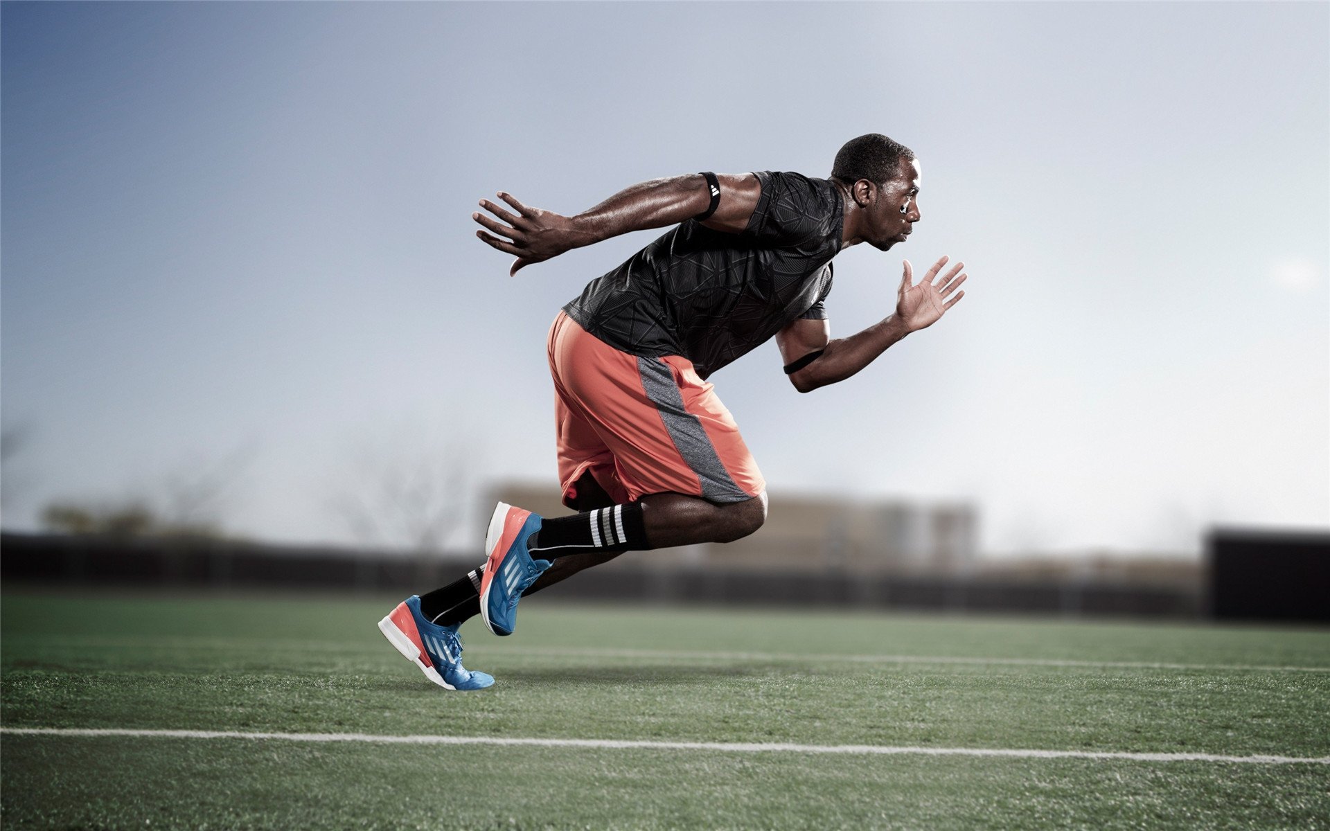 公牛队全员奋战，未来无限可能，公牛队现状