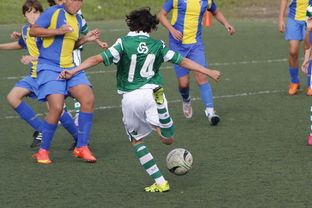 ac米兰足球队-史诗级逆转战：从落后20分到胜利！，逆转结局是哪一套史诗